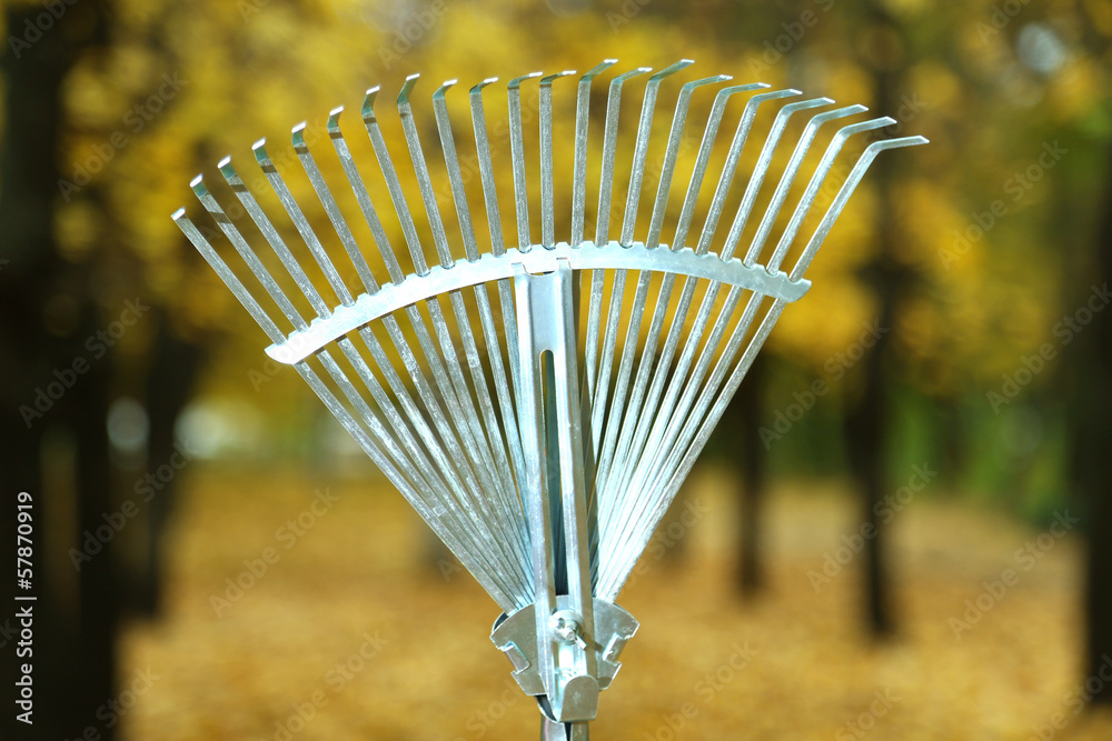 Cleaning of autumn leaves in park