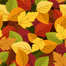 Seamless Background With Colorful Autumn Leaves. Vector
