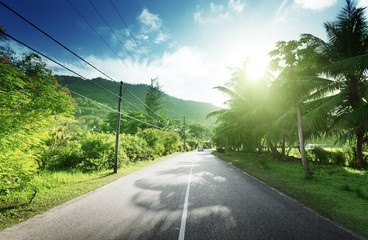 Canvas Print - empty road in jungle of seychelles islands