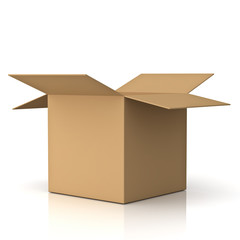 Poster - Blank cardboard box isolated on white background with reflection