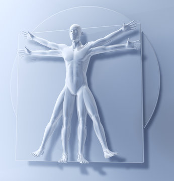 Leonardo Da Vinci Vetruvianischer Mann, Mensch