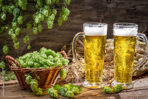 Naklejka ścienna Fresh beer and hop cones