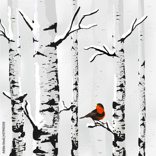 Naklejka dekoracyjna Birch in snow, winter card in vector