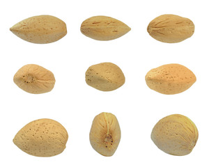 Wall Mural - almond nuts