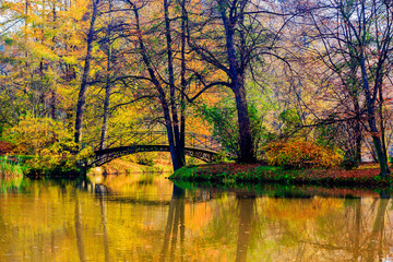 Poster - Autumn - Old bridge in autumn misty park