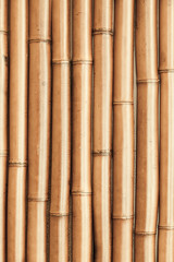  New shining bamboo wall vertical photo background texture