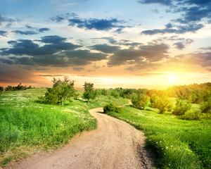 Wall Mural - road in the evening