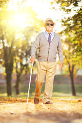 Sticker - Blind mature man holding a stick and walking in a park