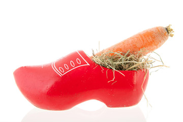 Wall Mural - Carrots for Sinterklaas