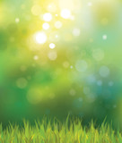 Fototapeta  - Vector sunny spring background with grass.