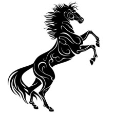 Rearing Horse, Vector Silhouette