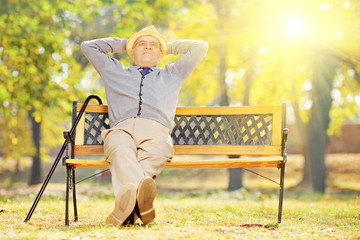 Wall Mural - Relaxed senior gentleman sitting on wooden bench in a park