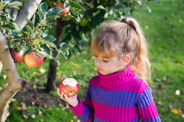 Wall Mural - little girl eat apples