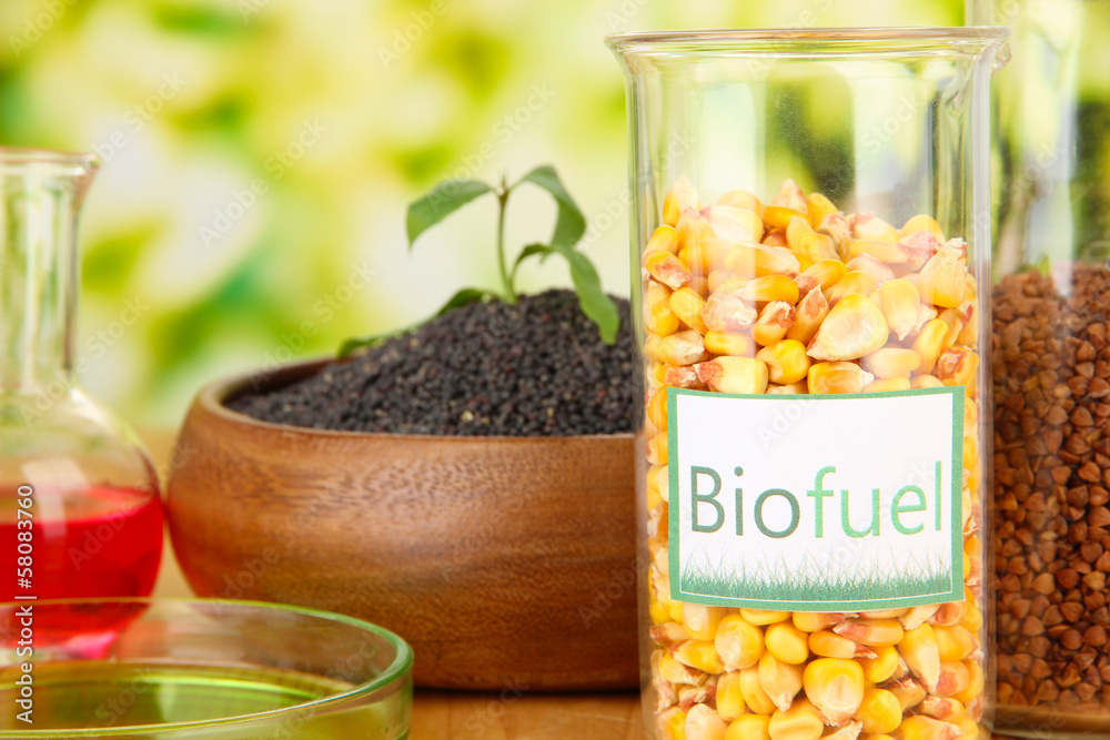 Conceptual photo of bio fuel.  On bright background