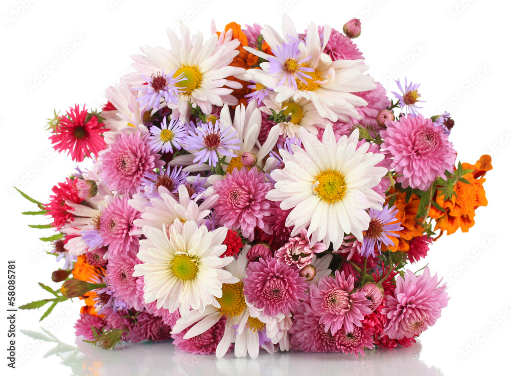 Wildflowers isolated on white