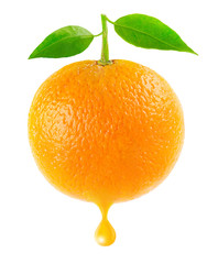 Poster - Isolated orange. One orange fruit with leaves and drop of juice isolated on white background
