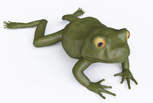 Plastic Green Frog Toy On White Background