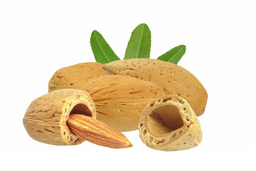 Wall Mural - almond nuts