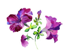 Watercolor Purple Flowers