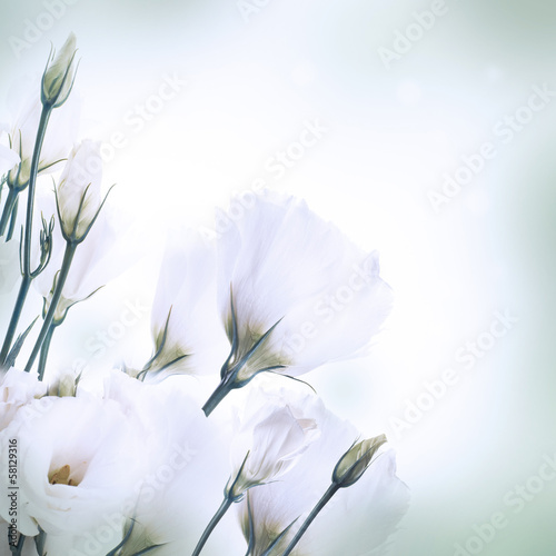 bukiet-roz-rozowy-kwiatowy-tlo