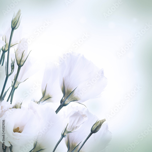 Plakat na zamówienie Bouquet of pink roses, floral background