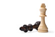Two wooden king chess pieces on white