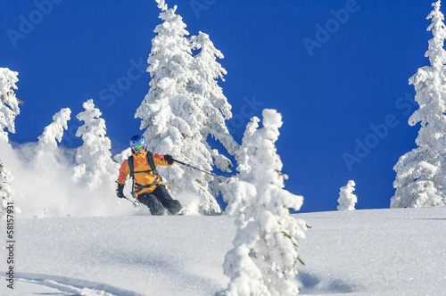 Obrazy Narciarstwo  jazda-na-nartach-w-zimowej-krainie-czarow