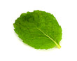 Mint leaf.