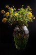 © gregory87 - flower, vase, still life