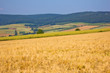 Landschaft mit Getreidefeldern und Waldgebieten