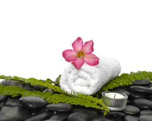 towel with green fern and frangipani,candle on pebbles