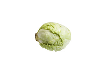 Close-up of a cabbage