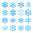 Vector snowflakes.