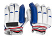 © imagedb.com - Close-up of cricket batting gloves
