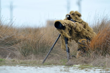 Wall Mural - wildlife photographer outdoor