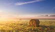morning meadow landscape with hay bales