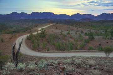 Sticker - Australian outback, Flinders Ranges National Park