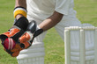 © imagedb.com - Wicket keeper standing behind stumps and catching a ball
