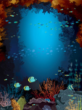 Coral Reef And School Of Fish.