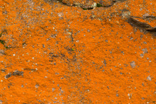 Abstract Rocks Closeup With Various Red Lichens