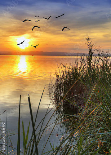 Naklejka ścienna desde la orilla del lago