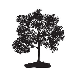 Wall Mural - icon tree with lush foliage