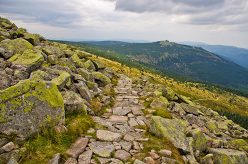 Wall Mural - Path in Polish Karkonosze mountains, Poland