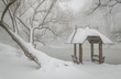 Wagner Cove and gazebo in the snow, Central Park, NYC