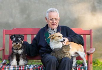 Wall Mural - Senior man with dogs and cat on his lap on bench