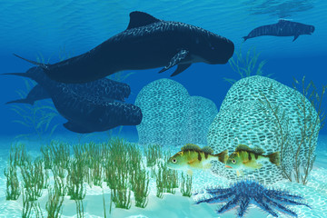 Wall Mural - Pilot Whales