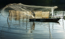 Fisherman Cast A Net On River