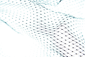 Fishnet