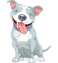 Canvas Print - Pit Bull Dog