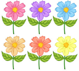 Sticker - Six colorful flowers